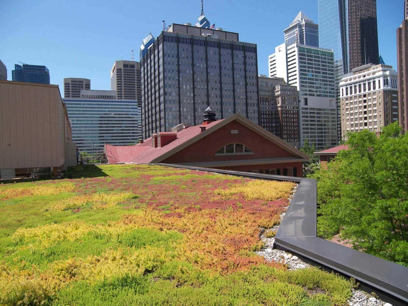 paysagiste-CONSEGUDES-min_green-roof-portfolio-4